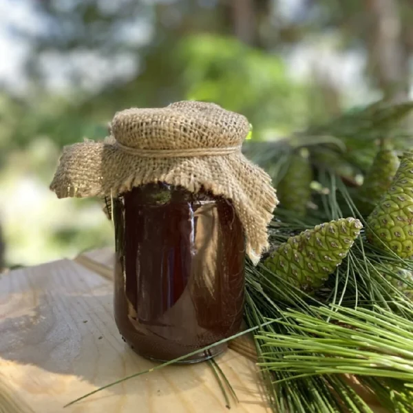 Kozalak Şurubu