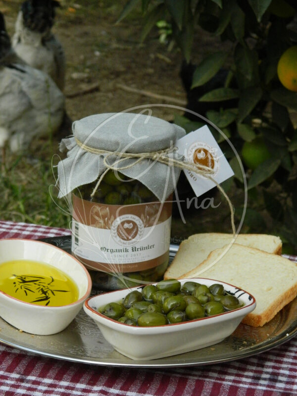 Çizik Zeytin