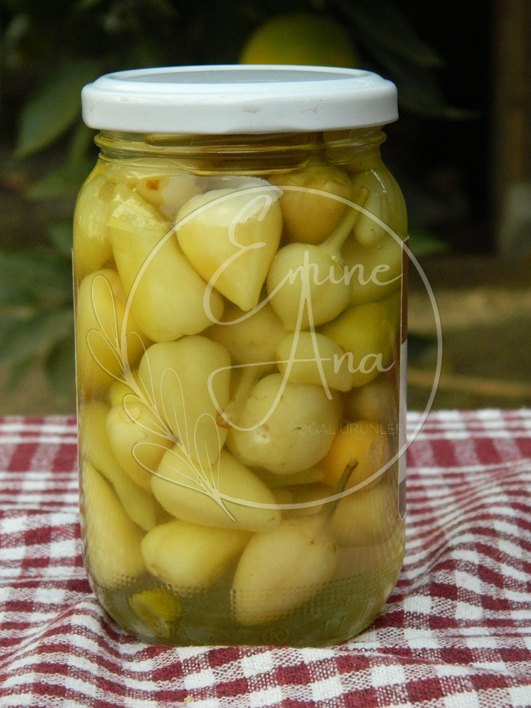 Biberiye Turşusu - Görsel 2