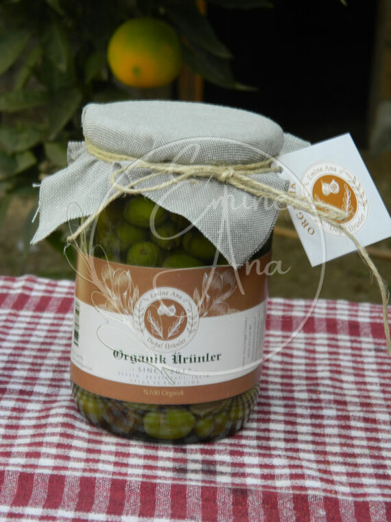Çizik Zeytin - Görsel 2