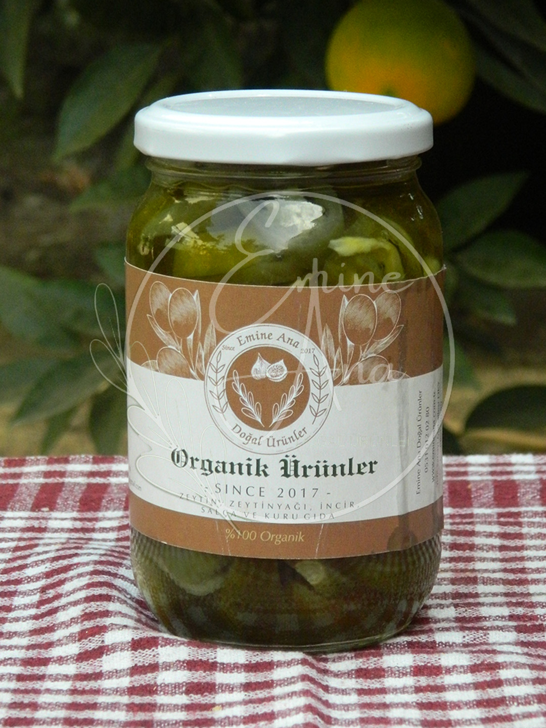 Jalapeno Biber Turşusu