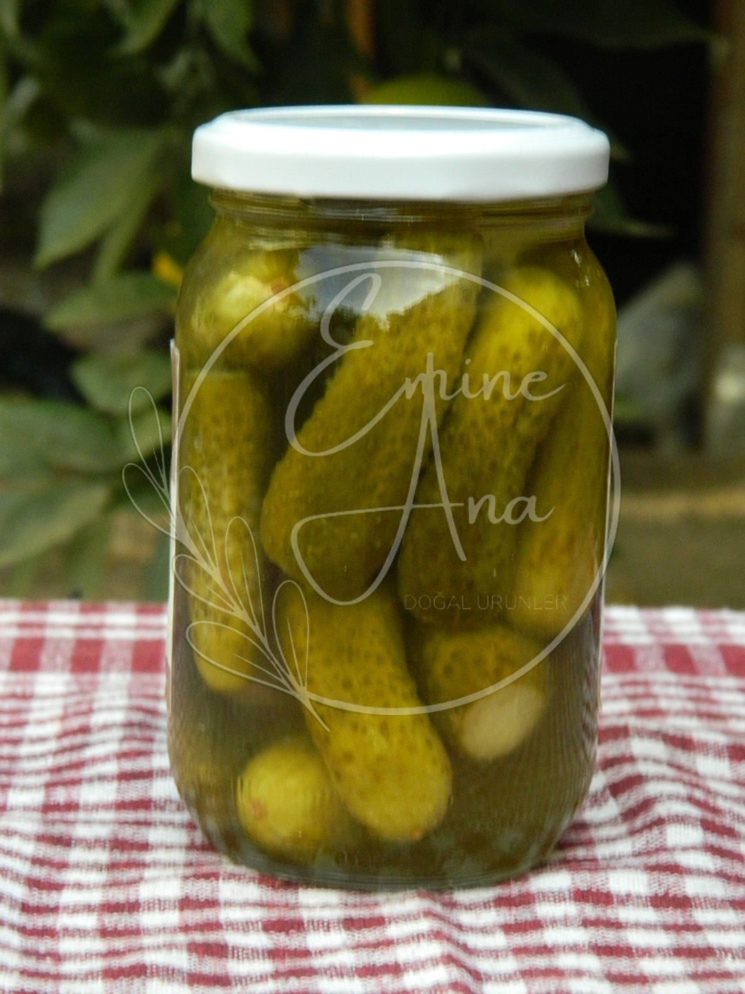Kornişon Turşusu - Görsel 2